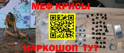 гашик Кингисепп