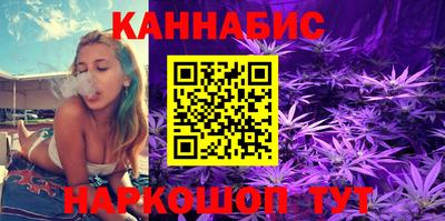 гашик Кингисепп