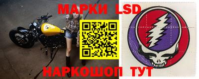 гашик Кингисепп