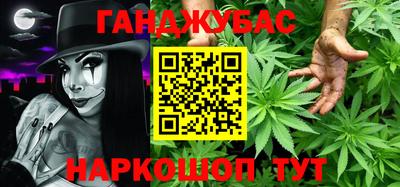 гашик Кингисепп