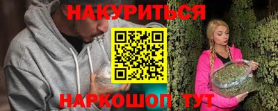 гашик Кингисепп