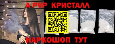 гашик Кингисепп
