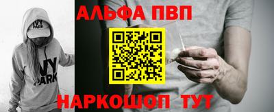 гашик Кингисепп