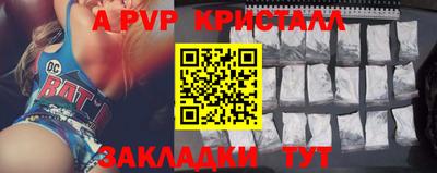 гашик Кингисепп