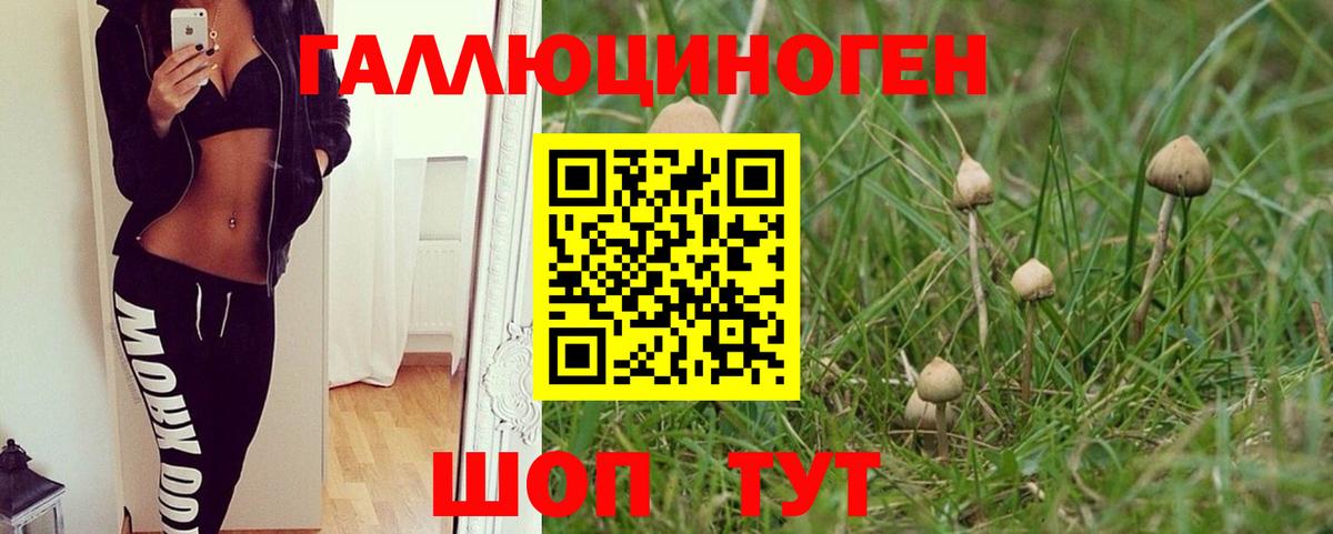 Кумертау  Псилоцибиновые грибы мухоморы  Вход с VPN 